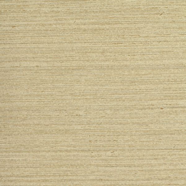 INV-MCA6402-Silvery-Birch-2